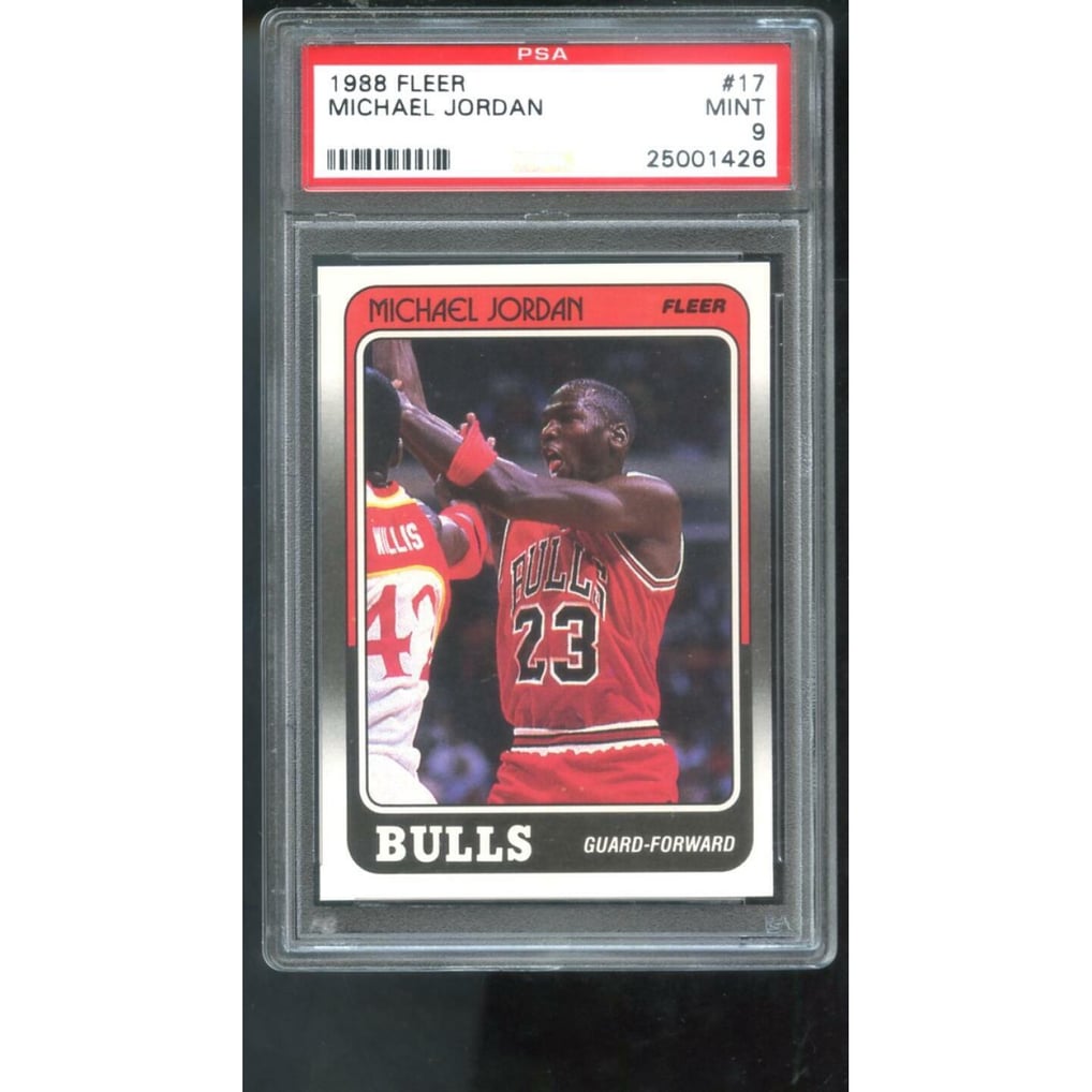 1988-89-fleer-number-17- 