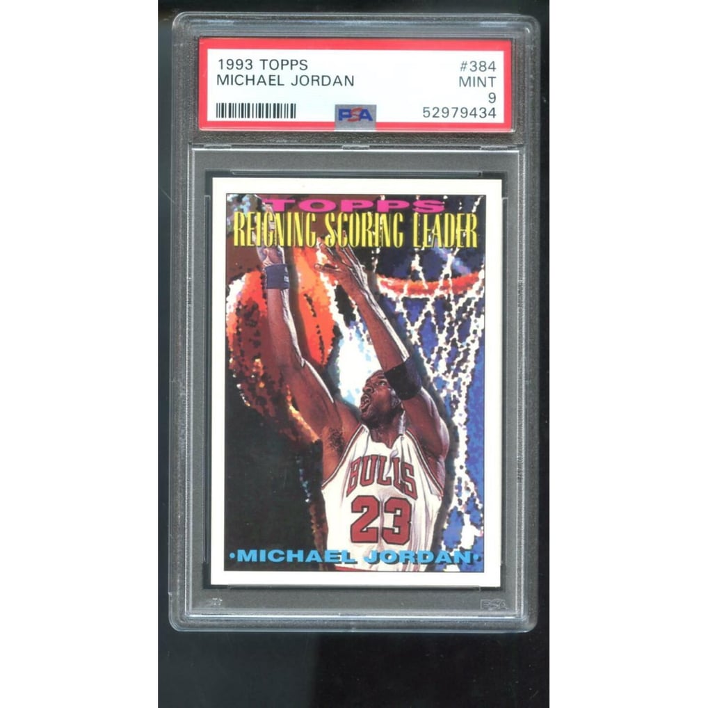 1993-94-topps-number-384- 