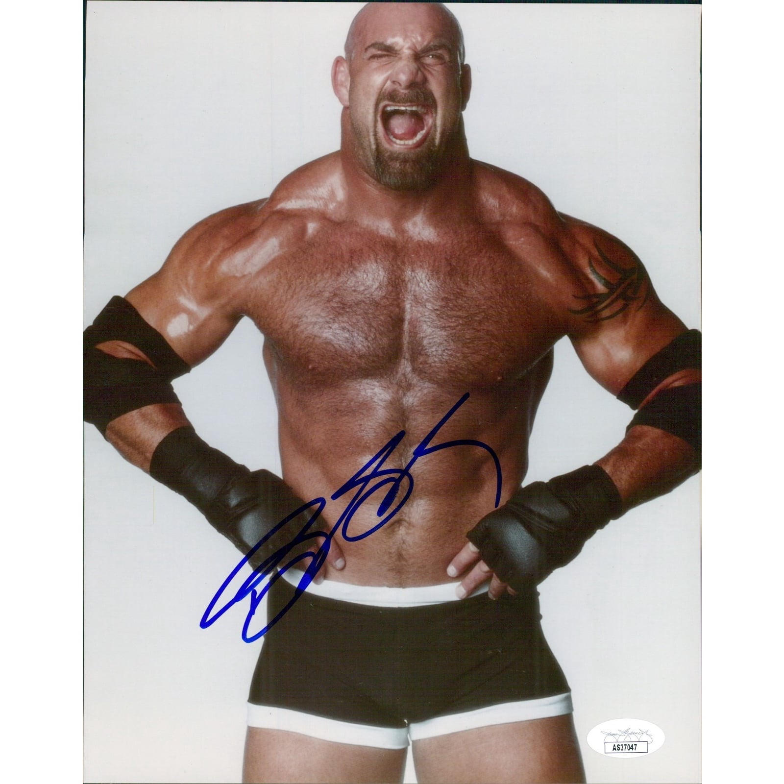 bill-goldberg-wwf-wcw-wwe- 