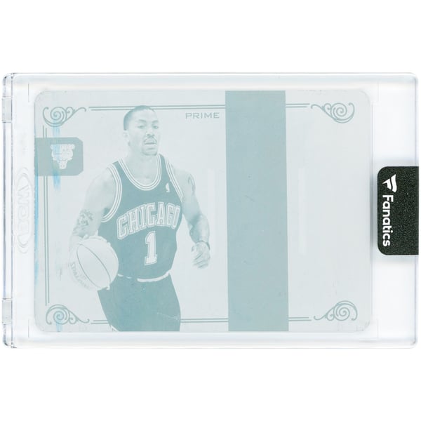 Derrick Rose Chicago Bulls 2013-14 Panini 2009-10 National 