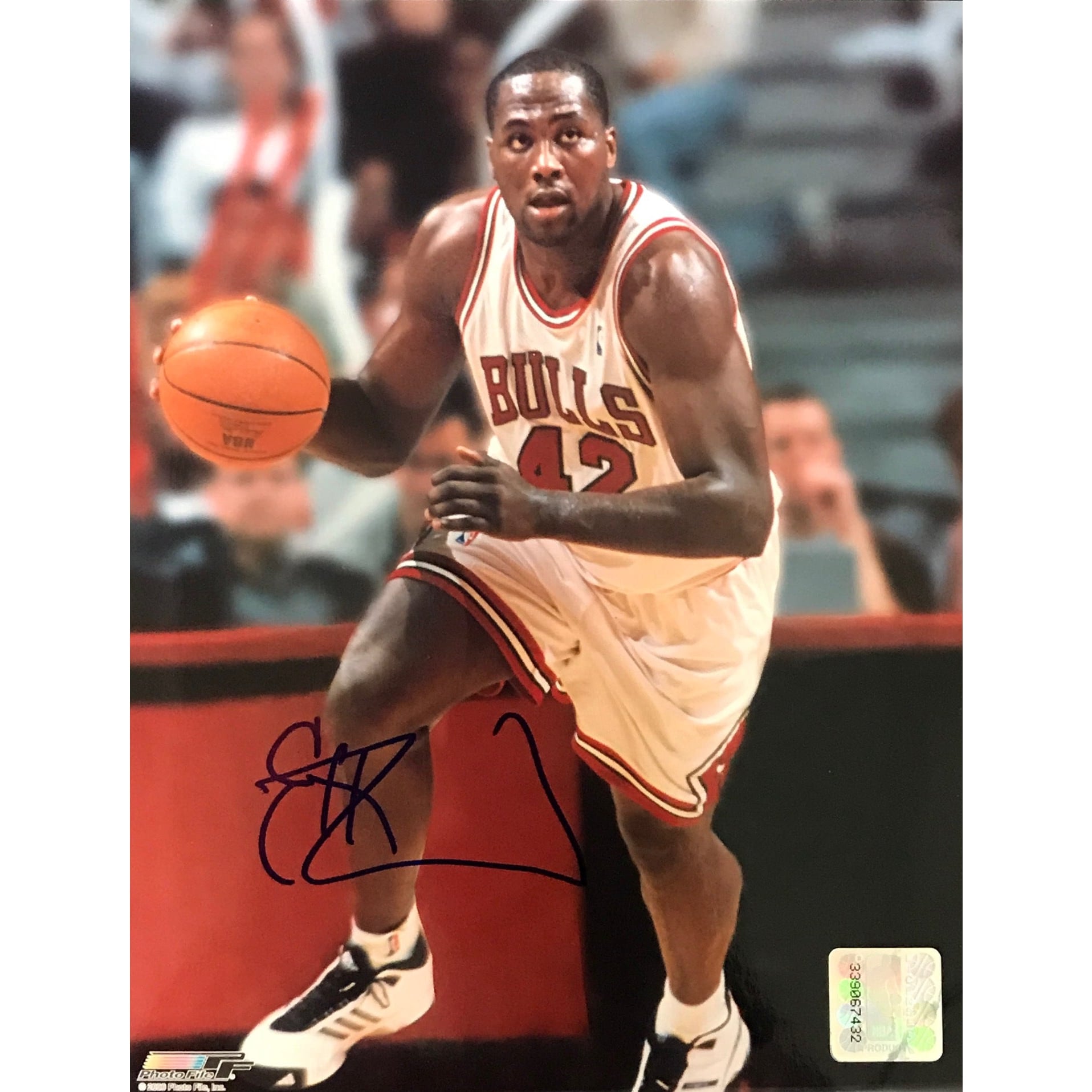 Elton Brand Autographed 8x10 Photo - Chicago Bulls