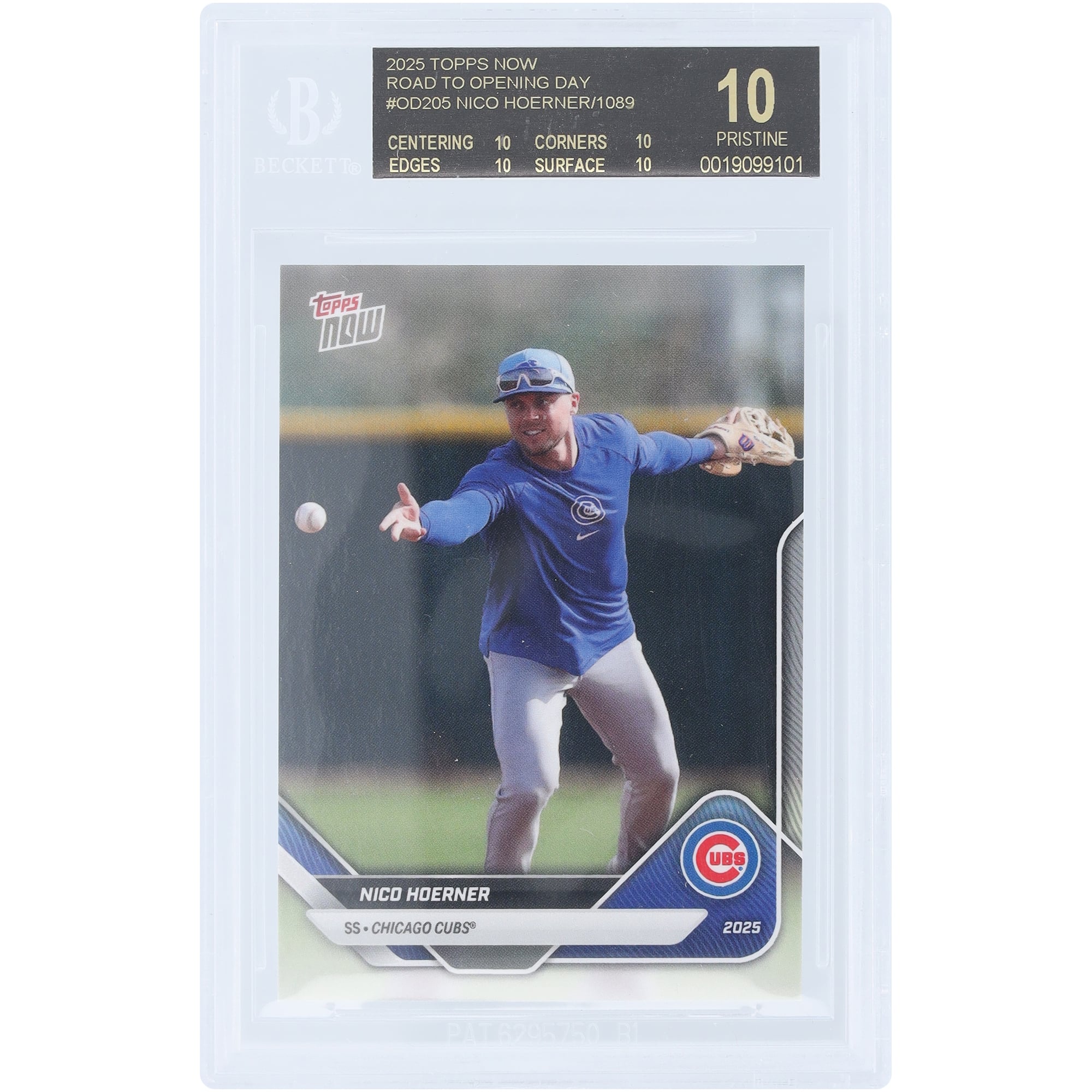 東京シリーズ Topps カード カブス 【NICO HOERNER 】ニコ・ホーナー 