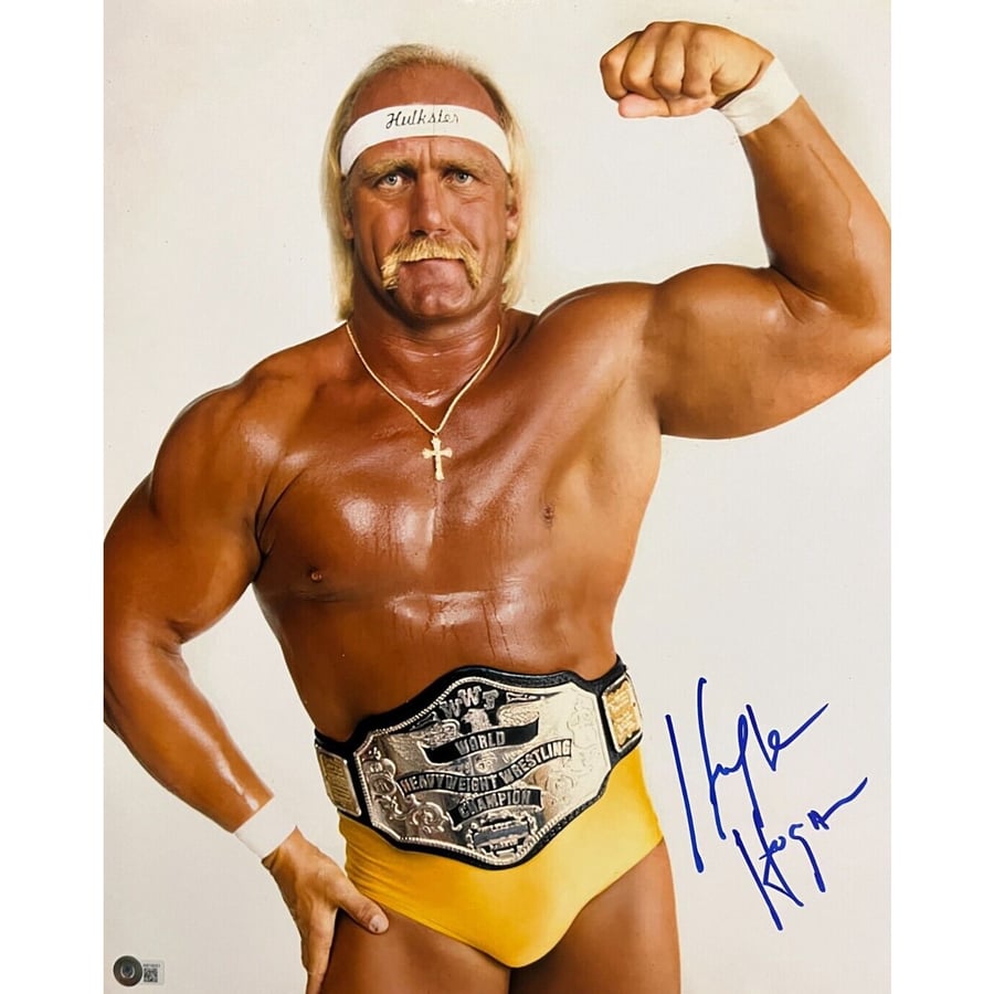 Hulk Hogan Using Computer Hulk Hogan Bodybuilding