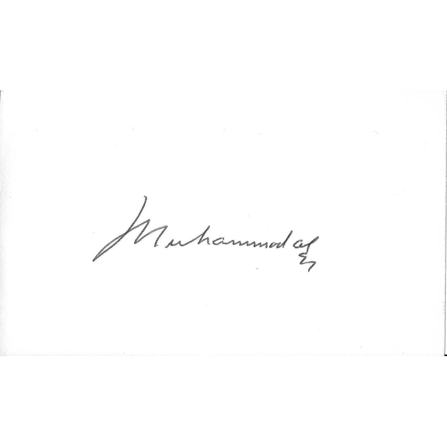 Muhammad Reyan Signatures Muhammad Ali Signature