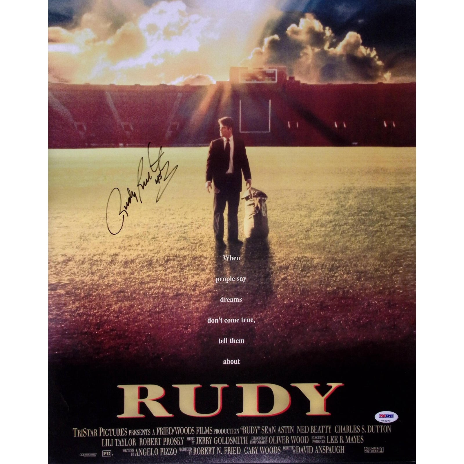 Movie About Notre Dame Football 60 Photos - Moonagedaydream.film