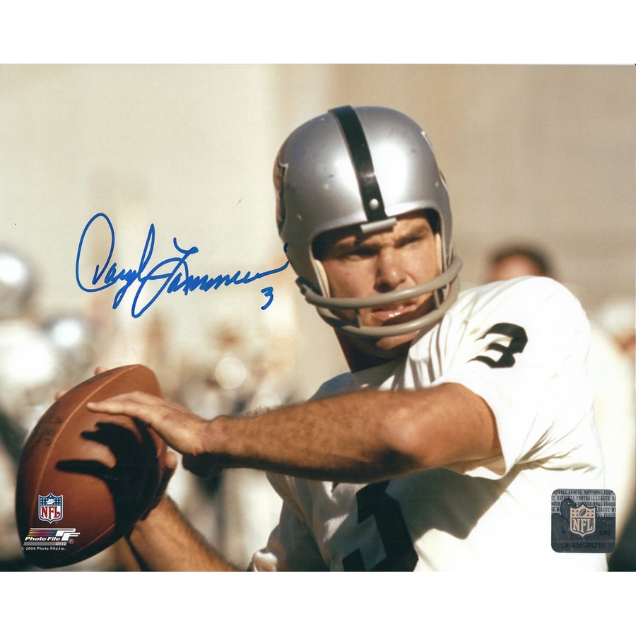 daryle lamonica net worth