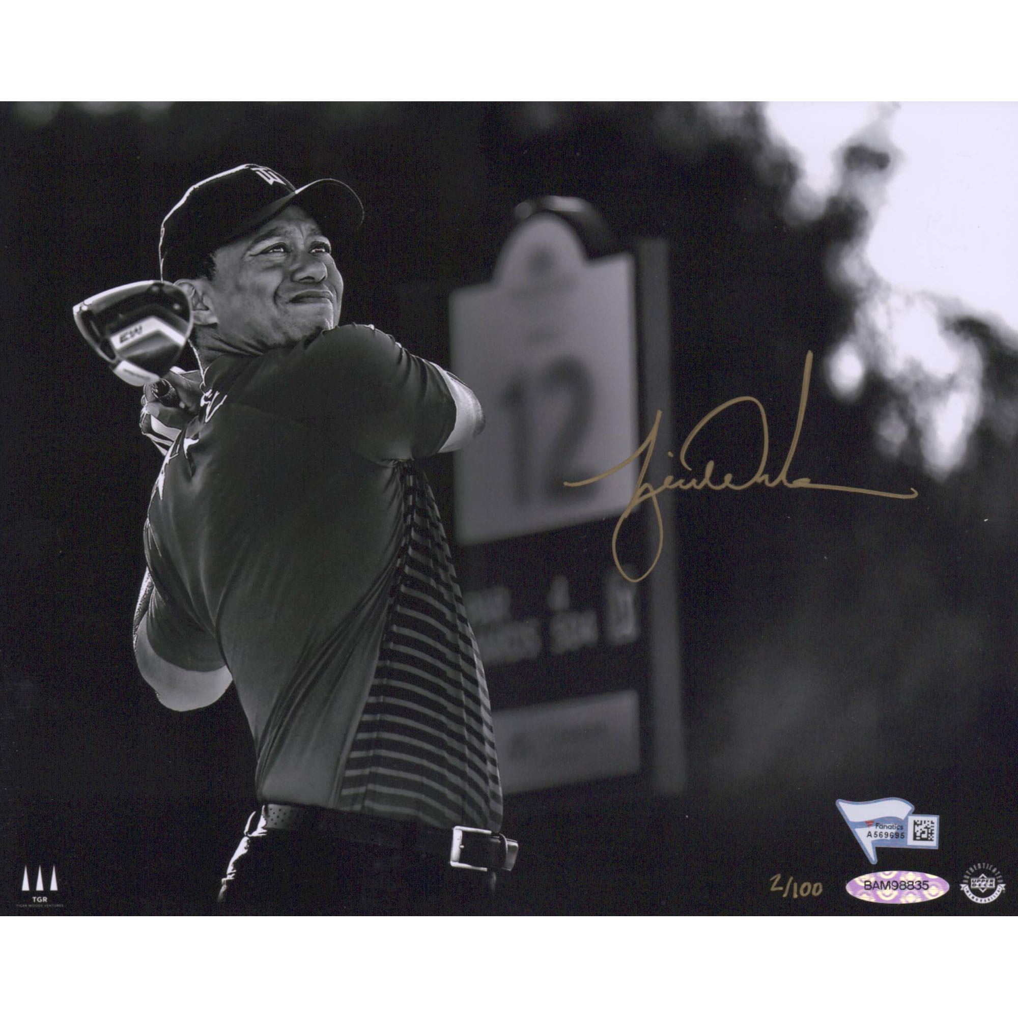 Tiger Woods Autographed Tiger Drive Photograph with Curved Golf