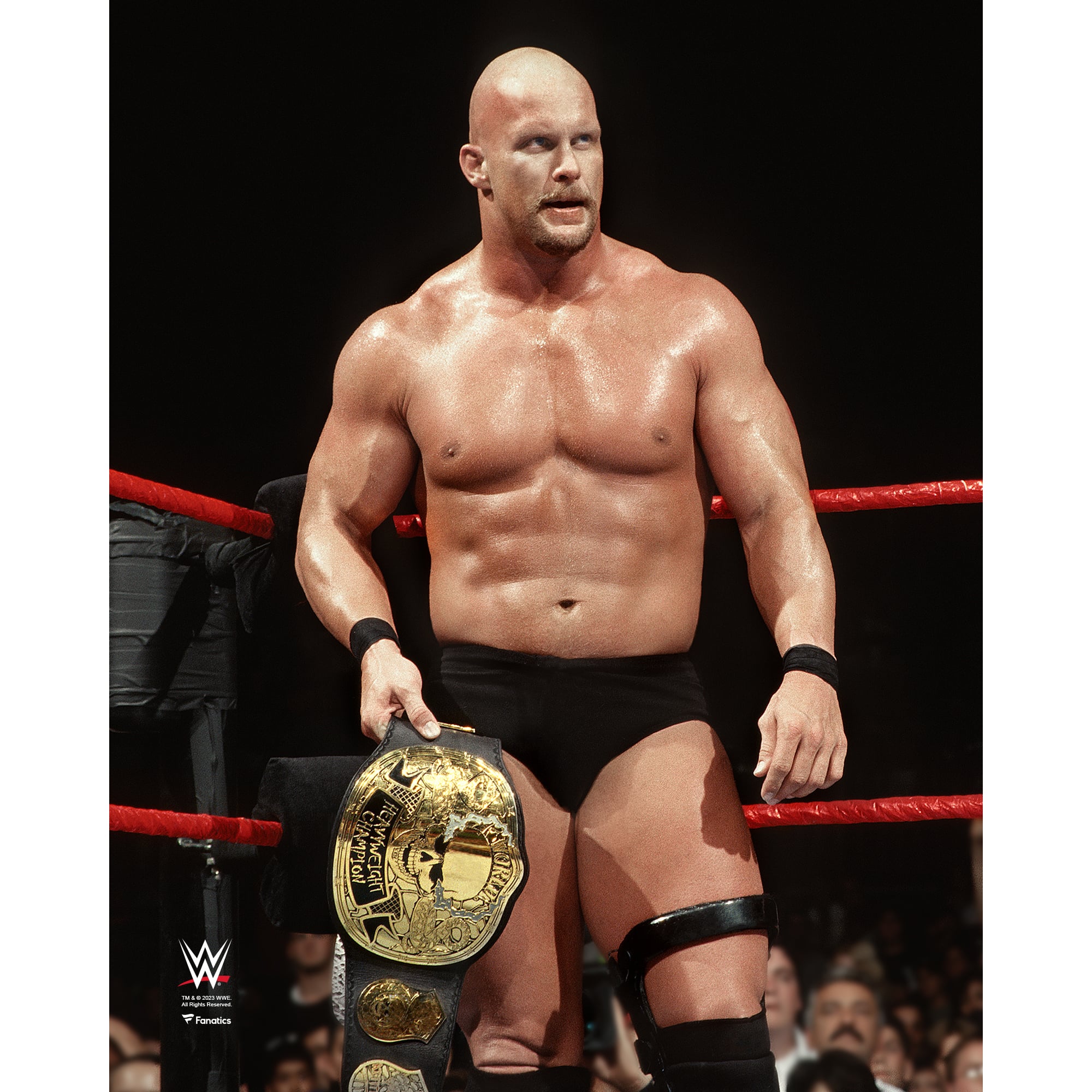 Stone Cold Computer Stone Cold Bodybuilding