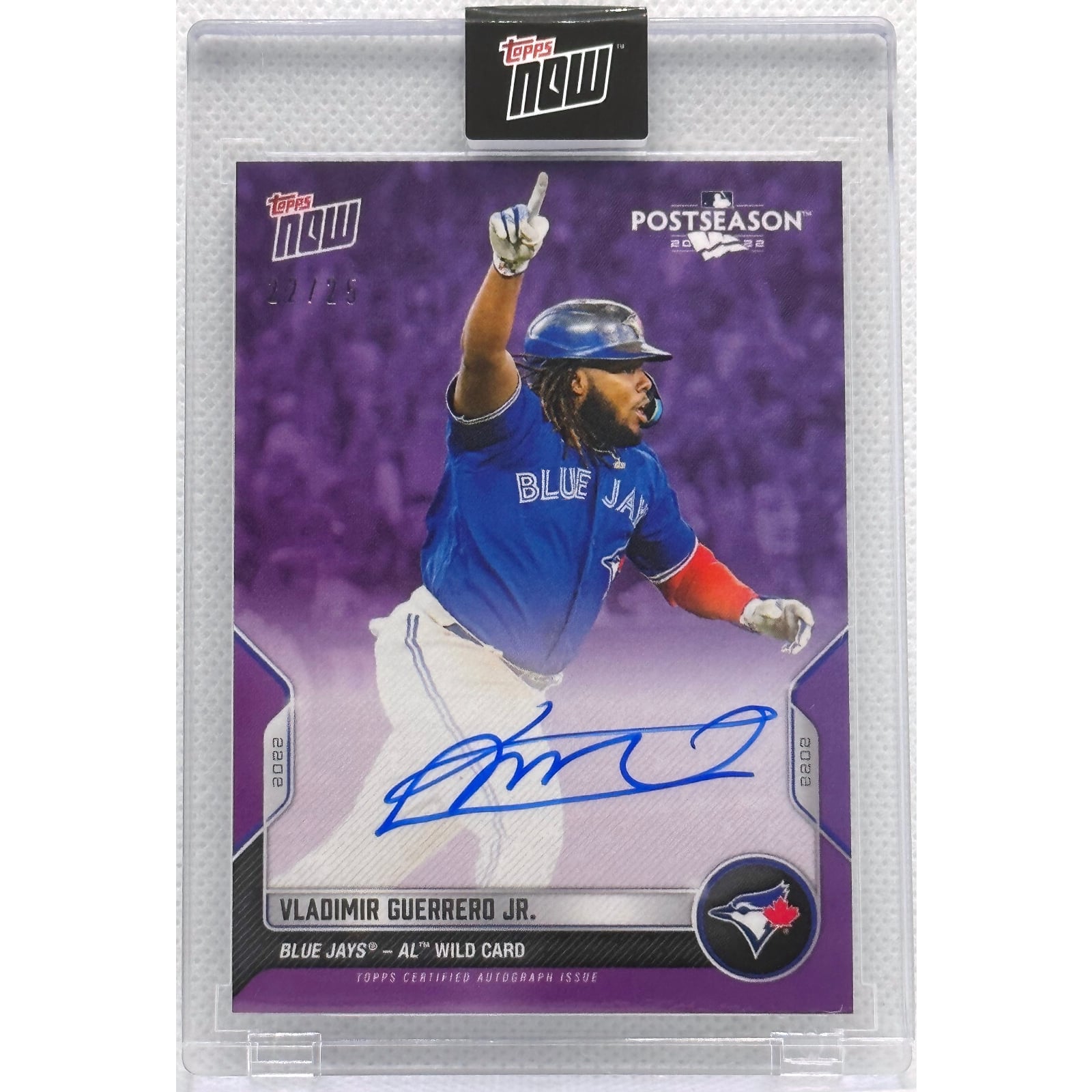 Topps Vladimir Guerrero 0 Five Framed Topps Auto Vladimir Guerrero 